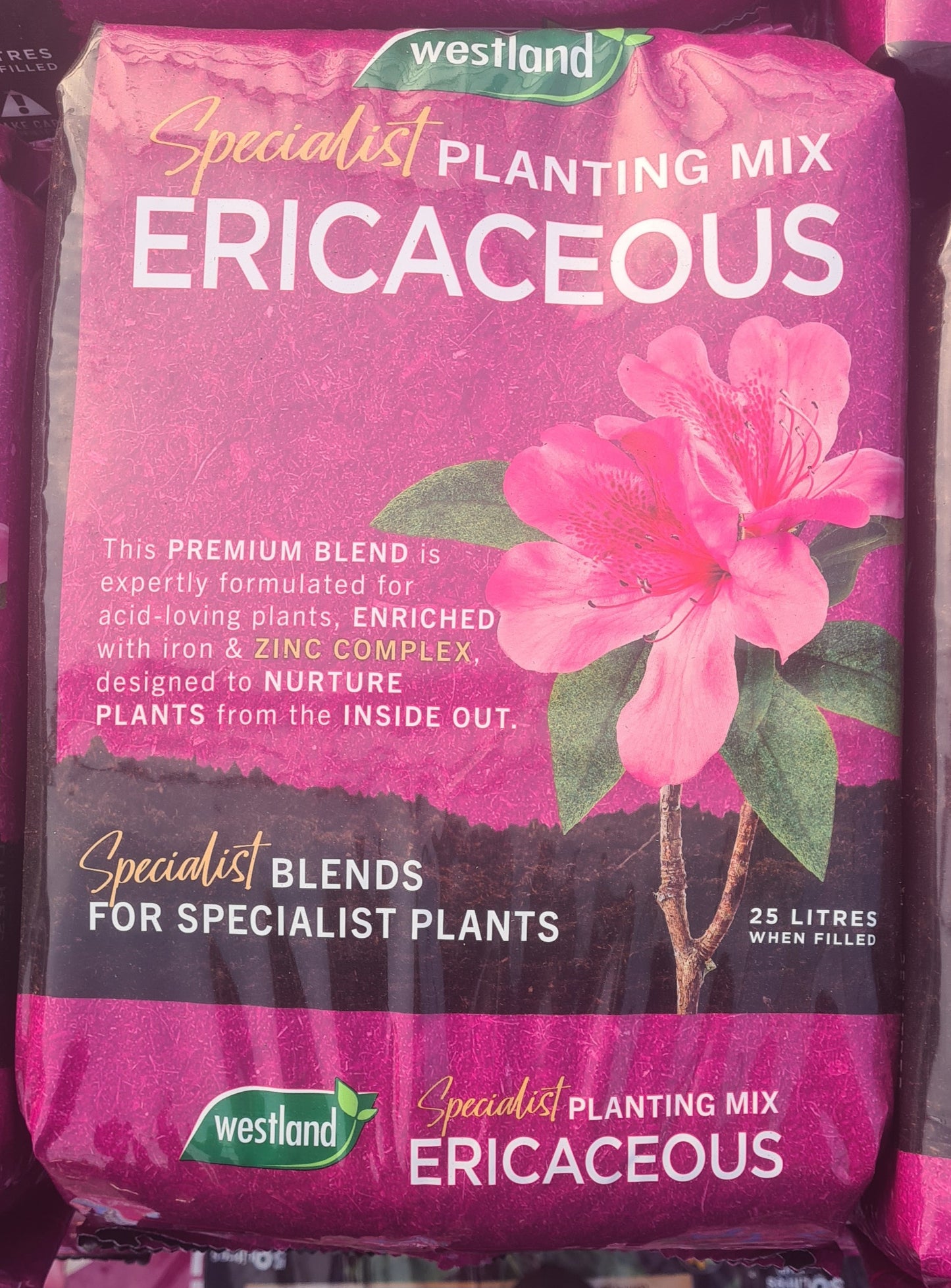 Westland Ericaceous Compost 25L