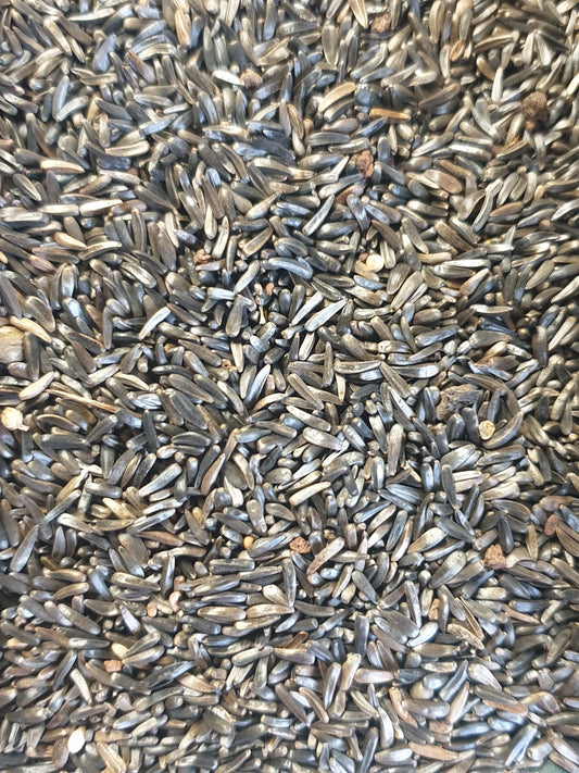 Bird Nyjer Seed - 20kg bag