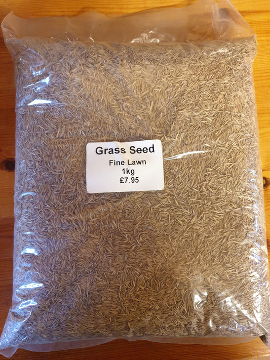 Grass Seed Fine Lawn 1kg