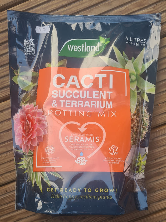 Cacti Succulent & Terrarium Compost 4L