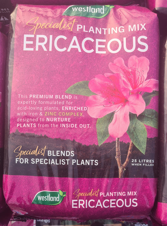 Westland Ericaceous Compost 25L