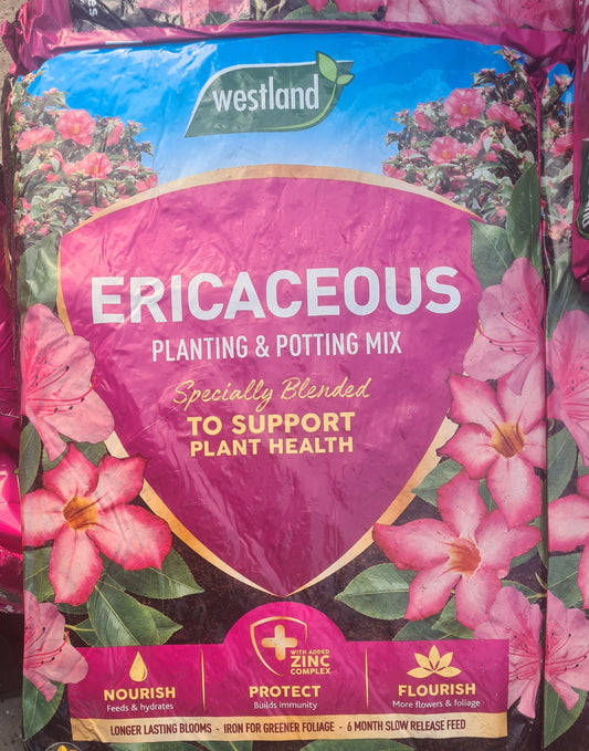 Ericaceous Compost (46L)