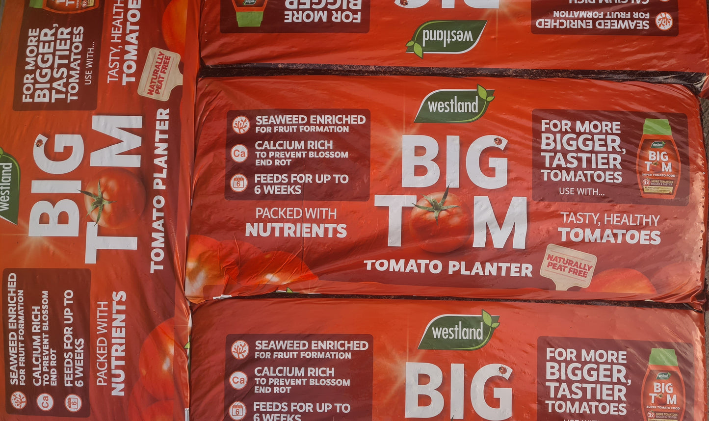 Tomato Planter - Big Tom - Peat Free