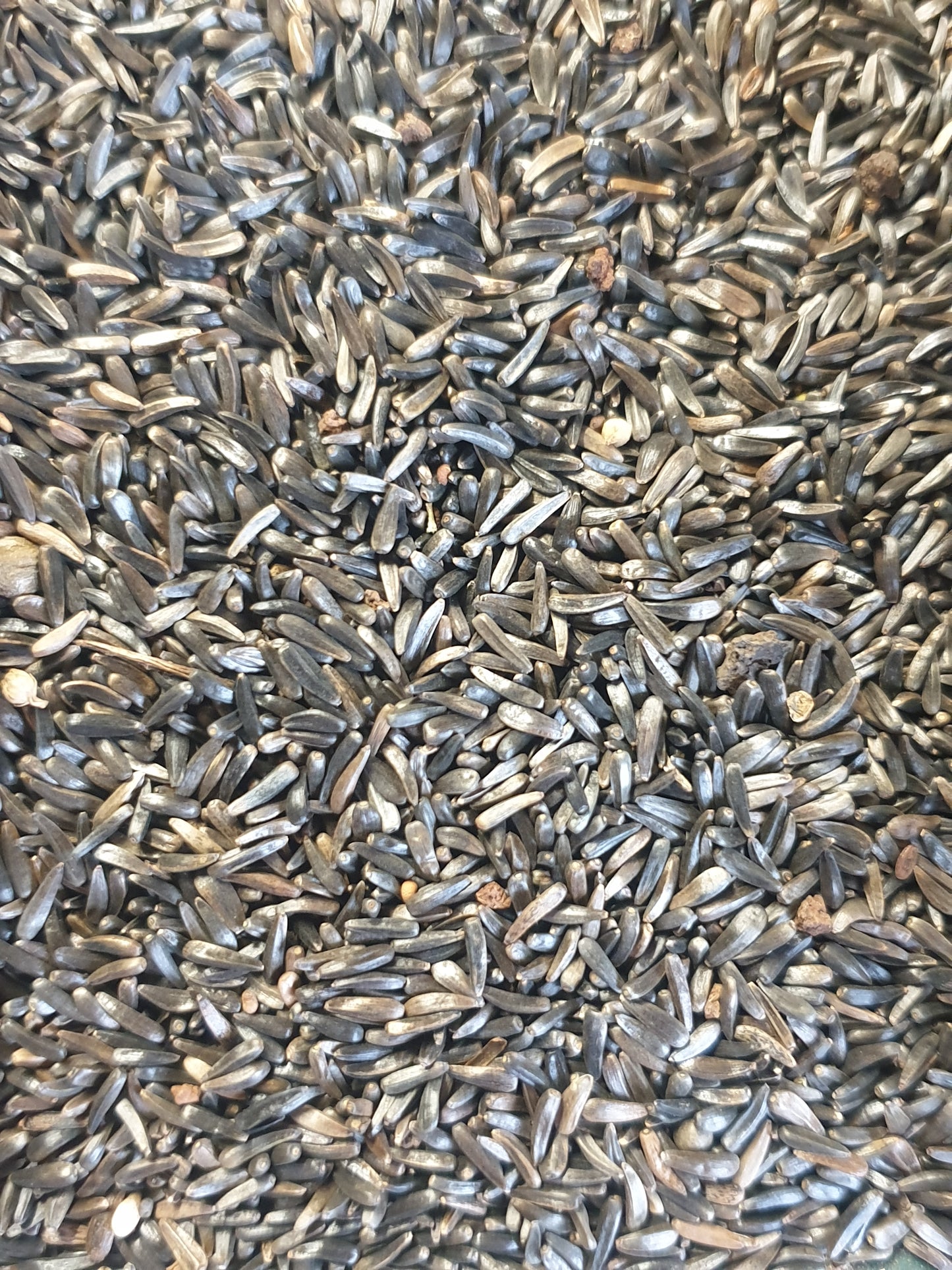 Bird Nyjer Seed - 20kg bag
