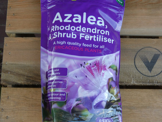 Azalea Rhododendron & Shrub Fertilizer