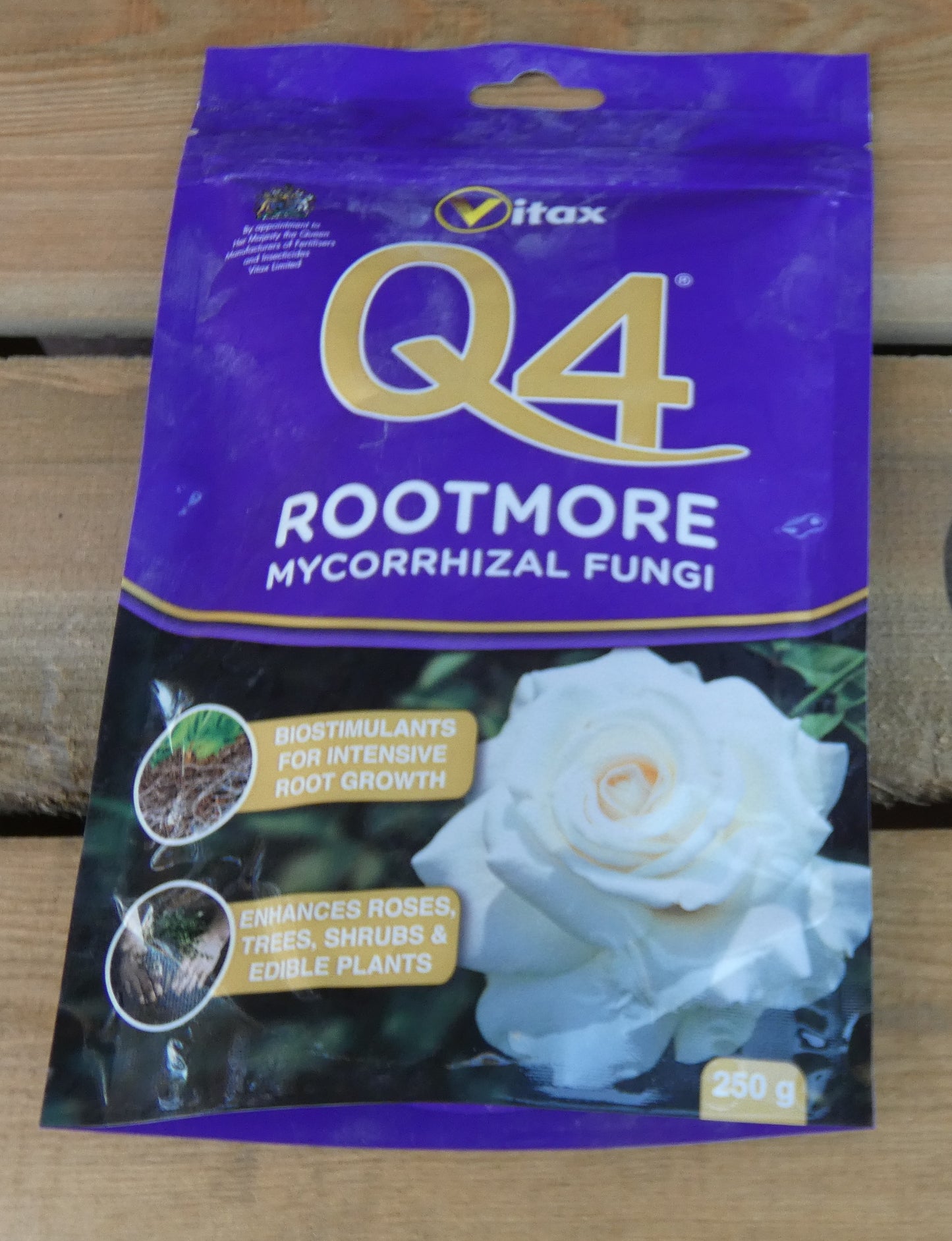 Q4 Rootmore