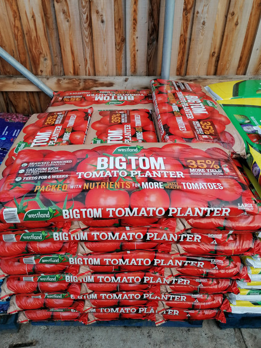 Tomato Planter - Big Tom(55L)